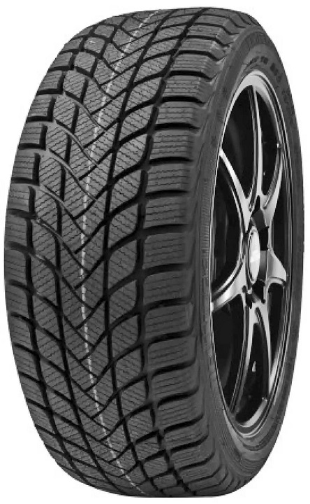 Delinte Winter WD6 (1)